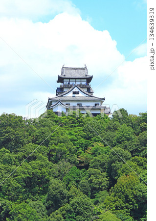愛知県犬山市、国宝犬山城の風景 134639319
