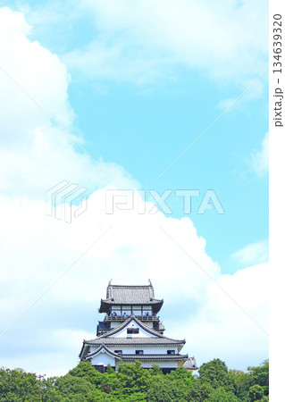 愛知県犬山市、国宝犬山城の風景 愛知県犬山市、国宝犬山城の風景 134639320