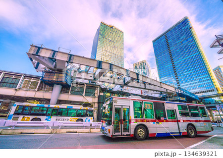 日本の東京都市景観年の瀬。フクラスデッキの上を鉄骨が覆い被さる(クローラークレーンもズラリ…) 日本の東京都市景観年の瀬。フクラスデッキの上を鉄骨が覆い被さる(クローラークレーンもズラリ…) 134639321