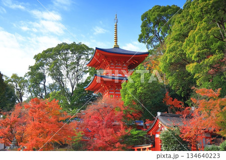 【兵庫県】快晴の須磨寺の三重塔と紅葉 134640223