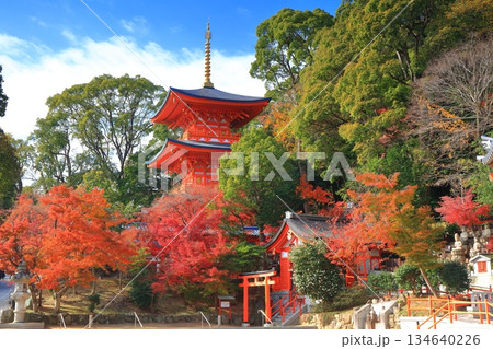 【兵庫県】快晴の須磨寺の三重塔と紅葉 【兵庫県】快晴の須磨寺の三重塔と紅葉 134640226