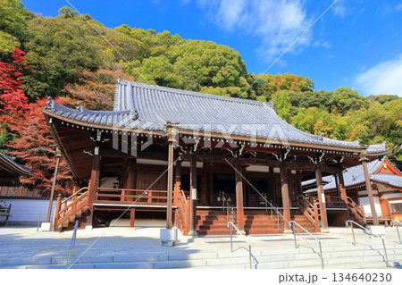 【兵庫県】快晴の須磨寺の本堂と紅葉 134640230