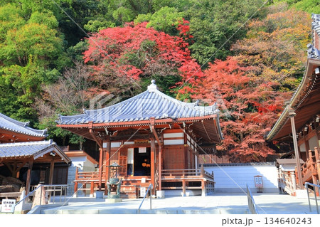 【兵庫県】快晴の須磨寺の大師堂と紅葉 134640243