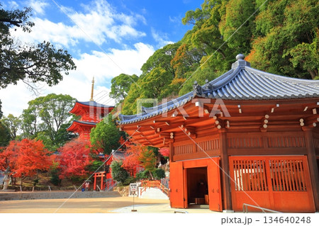 【兵庫県】快晴の須磨寺の八角堂と紅葉 134640248