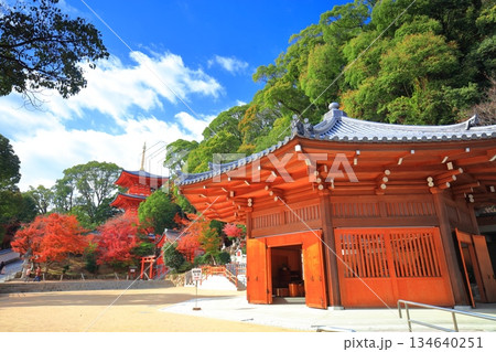 【兵庫県】快晴の須磨寺の三重塔と紅葉 134640251