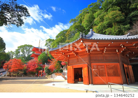 【兵庫県】快晴の須磨寺の三重塔と紅葉 134640252