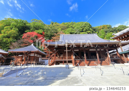 【兵庫県】快晴の須磨寺の本堂と大師堂と紅葉 【兵庫県】快晴の須磨寺の本堂と大師堂と紅葉 134640253