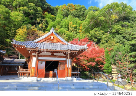 【兵庫県】快晴の須磨寺の大師堂と紅葉 【兵庫県】快晴の須磨寺の大師堂と紅葉 134640255