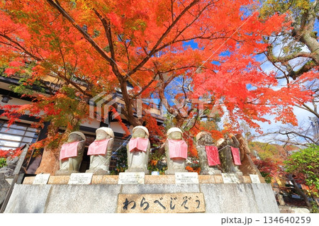 【兵庫県】快晴の須磨寺の「わらべじぞう」と紅葉 【兵庫県】快晴の須磨寺の「わらべじぞう」と紅葉 134640259