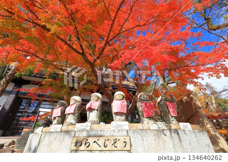 【兵庫県】快晴の須磨寺の「わらべじぞう」と紅葉 【兵庫県】快晴の須磨寺の「わらべじぞう」と紅葉 134640262