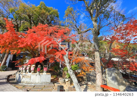 【兵庫県】快晴の須磨寺の「わらべじぞう」と紅葉 134640263