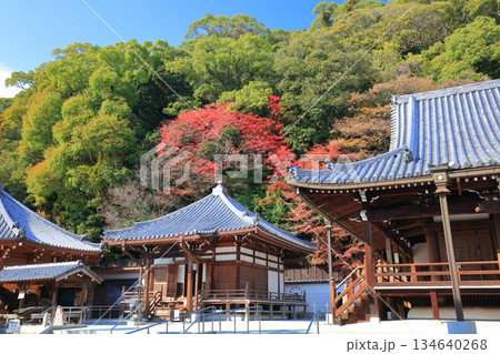 【兵庫県】快晴の須磨寺の大師堂と紅葉 【兵庫県】快晴の須磨寺の大師堂と紅葉 134640268