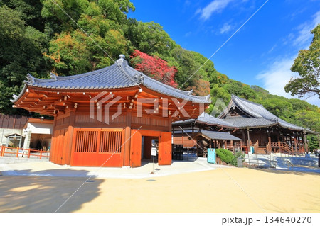 【兵庫県】快晴の須磨寺の八角堂と紅葉 【兵庫県】快晴の須磨寺の八角堂と紅葉 134640270