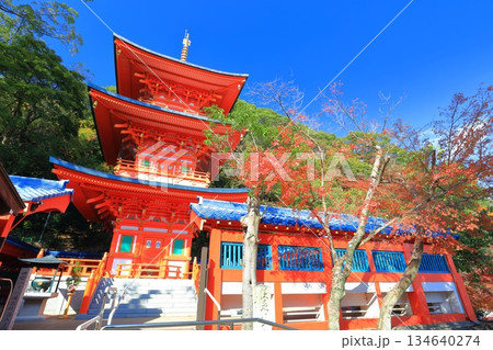 【兵庫県】快晴の須磨寺の三重塔と紅葉 134640274