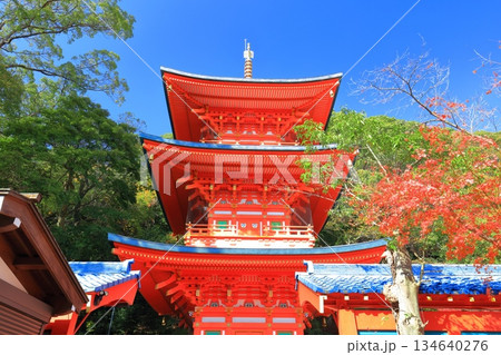 【兵庫県】快晴の須磨寺の三重塔と紅葉 【兵庫県】快晴の須磨寺の三重塔と紅葉 134640276