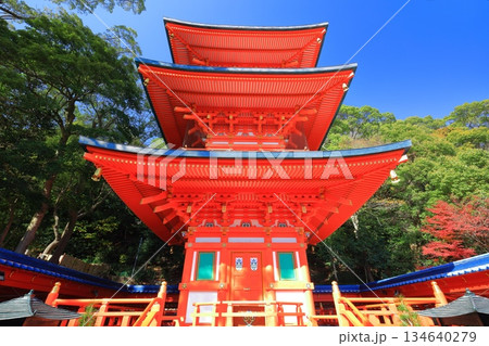 【兵庫県】快晴の須磨寺の三重塔と紅葉 【兵庫県】快晴の須磨寺の三重塔と紅葉 134640279