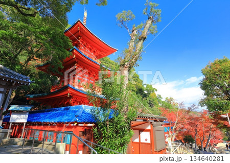 【兵庫県】快晴の須磨寺の三重塔と紅葉 134640281