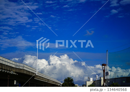 夏空のスケール　積乱雲　都市と空　青のグラデーション　開放感 134640568