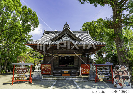 八女福島 福島八幡宮 拝殿 福岡県八女市 八女福島 福島八幡宮 拝殿 福岡県八女市 134640600