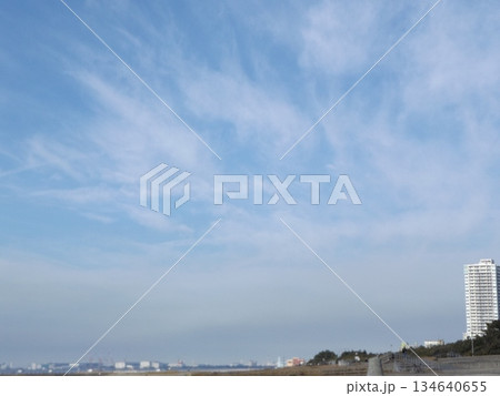 検見川浜の青い空と白い雲 134640655