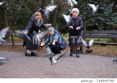 three adult retired women old woman feeds the pigeons in the park. The pigeons sit on the woman who feeds them. Romania, Arges. September, 21, 2023 three adult retired women old woman feeds the pigeons in the park. The pigeons sit on the woman who feeds them. Romania, Arges. September, 21, 2023 134640740