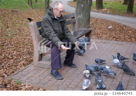 An elderly man enjoys a cold winter morning in the city. A gray-haired man feeds pigeons while sitting on a bench in the square. An elderly man enjoys a cold winter morning in the city. A gray-haired man feeds pigeons while sitting on a bench in the square. 134640745