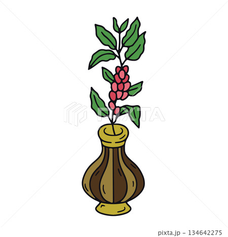 Hand drawn coffee plant branch in ceramic vase doodle icon vector illustration Hand drawn coffee plant branch in ceramic vase doodle icon vector illustration 134642275