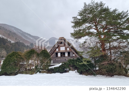 The view of landscape shirakawago river in winter The view of landscape shirakawago river in winter 134642290