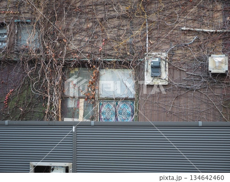 枯れた蔦が絡まる古い建物の壁と装飾窓、大田区山王のノスタルジックな風景 枯れた蔦が絡まる古い建物の壁と装飾窓、大田区山王のノスタルジックな風景 134642460