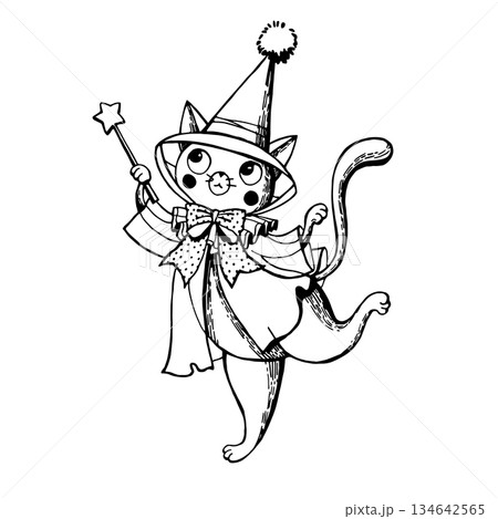 Halloween Wizard Cat in Robe and Hat Halloween Wizard Cat in Robe and Hat 134642565