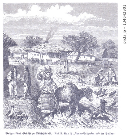 Rural Bulgarian Village Scene With Farmers, Animals, and Traditional Farm Life in a 19th-Century Illustration 134642901