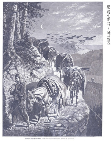 Serbian Coal Merchant and Pack Horse Caravan Traversing a Moonlit Mountain Path 134642998