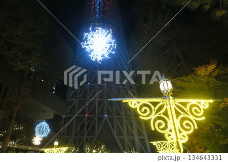 クリスマスツリーのイルミネーションをスカイツリーで楽しむ クリスマスツリーのイルミネーションをスカイツリーで楽しむ 134643331