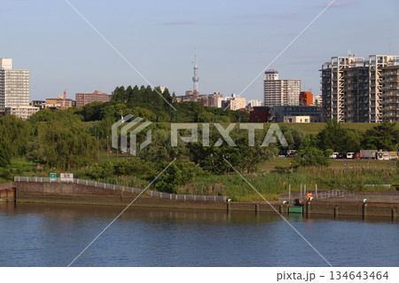 板橋緊急用船着場(東京都板橋区) 板橋緊急用船着場(東京都板橋区) 134643464