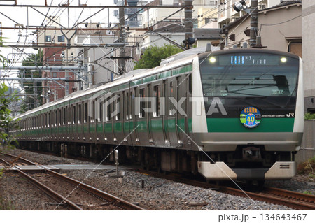 ［JA］埼京線E233系電車（開業40周年記念マーク） 134643467