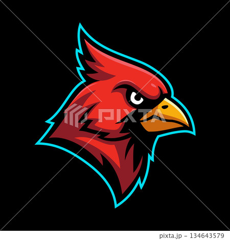 Red Cardinal Bird Character e-Sport Logo Vector Template 134643579