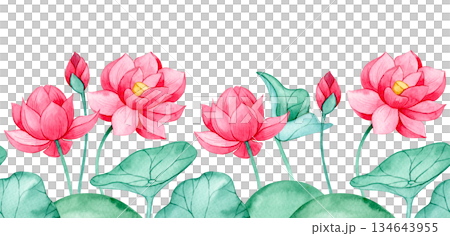 Seamless border with pink lotus flowers and leaves. Watercolor illustration 134643955
