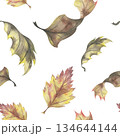 Autumn dry leaves seamless pattern. Hand-drawn watercolor illustration. Perfect for seasonal design, fabric prints, and fall-themed projects 134644144