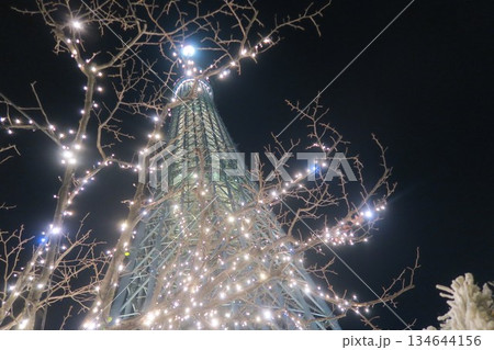 クリスマスツリーのイルミネーションとスカイツリーを見上げる クリスマスツリーのイルミネーションとスカイツリーを見上げる 134644156