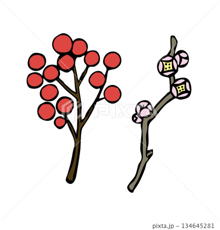 お正月_料理飾り_南天・梅 134645281
