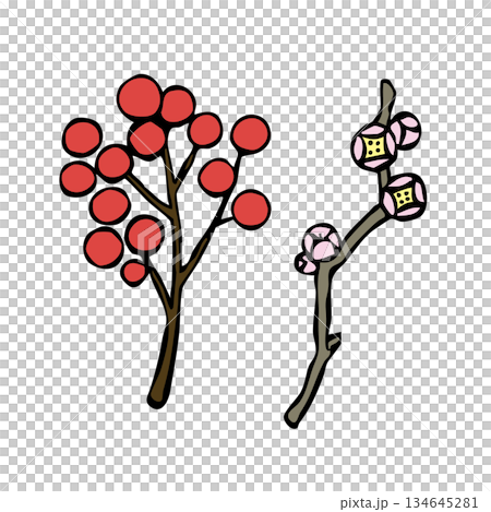 お正月_料理飾り_南天・梅 134645281