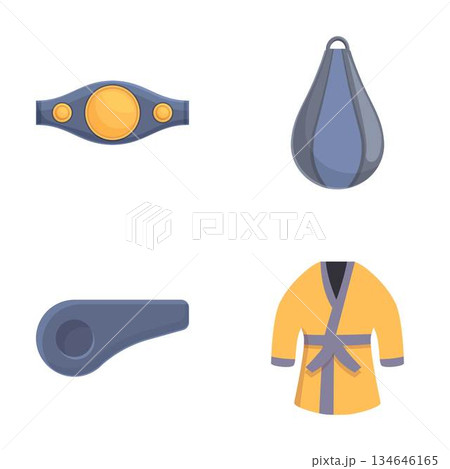 Martial arts equipment icons set Martial arts equipment icons set 134646165