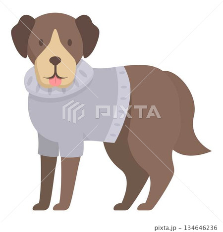 Brown dog standing and wearing a grey woolen sweater 134646236