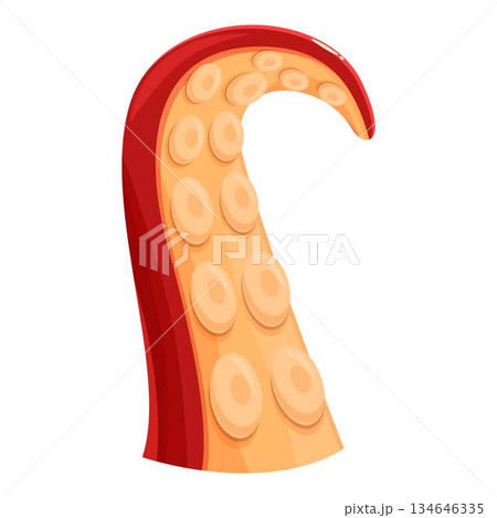 Octopus tentacle showing suction cups in cartoon style 134646335