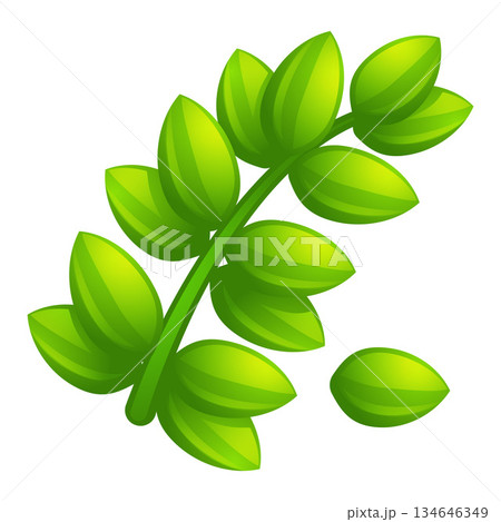 Olive leaf branch icon, cartoon style 134646349