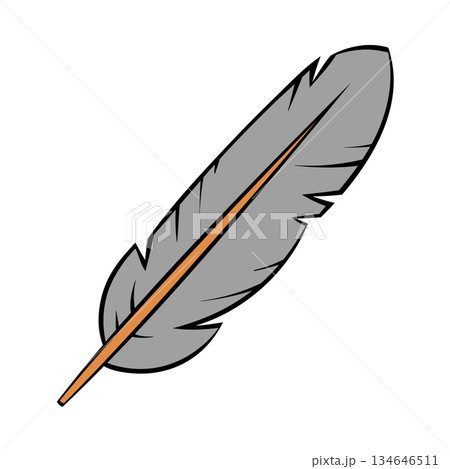 Gray feather with orange quill cartoon illustration Gray feather with orange quill cartoon illustration 134646511