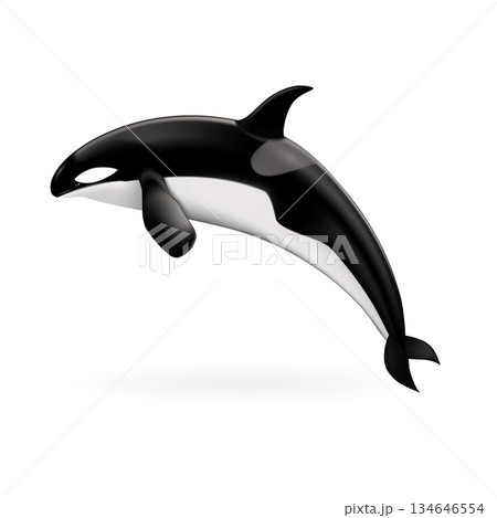 Orca whale icon, realistic style 134646554