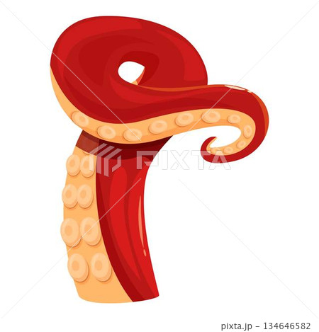 Red octopus tentacle curling upwards, showing suction cups 134646582