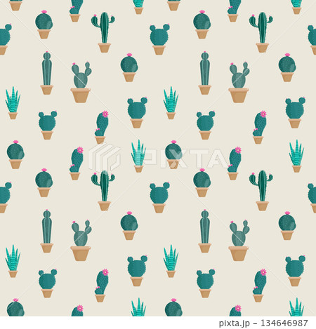 cactus in pot seamless pattern decoration element flat design cactus in pot seamless pattern decoration element flat design 134646987
