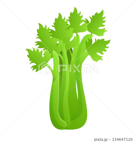 Fresh celery icon, cartoon style 134647120